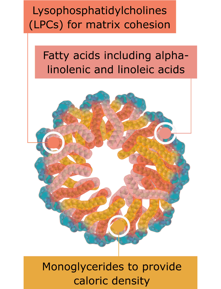 Seracal structure with 3 points 1. Lysophosphatidylcholines (LPCs) for matrix cohesion 2.Fatty acids including alpha-linolenic and linoleic acids 3. Monoglycerides to provide caloric density